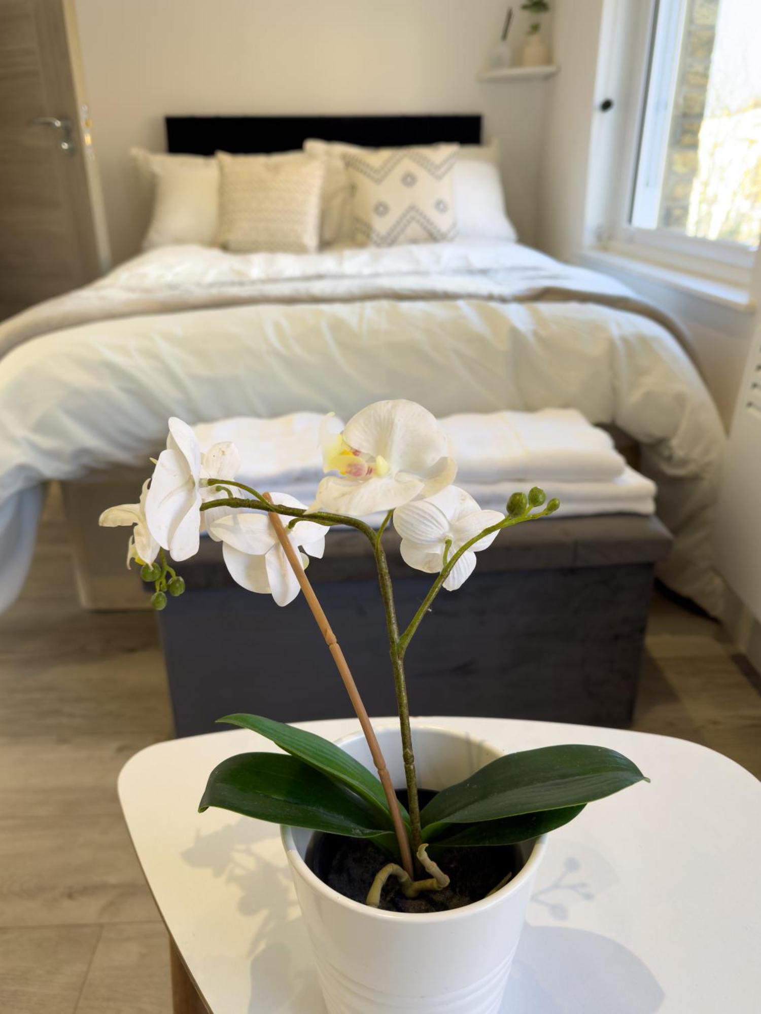 Flat 20 Min From Center Appartamento